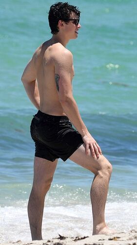 Shawn Mendes | Shawn mendes, Caras, Gostosões